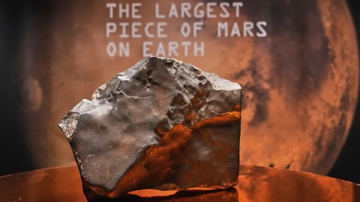 Mars Meteorite: মঙ্গলের বুক থেকে পৃথিবীতে খসে পড়া অংশ নিলামে বিক্রি হল সাড়ে ৪০০ কোটি টাকায়! কিনলেন কে