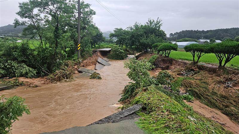 Yunnan Landslide: টানা বৃষ্টিপাতে ইউনানে ভূমিধস, নিহত ৫ জন