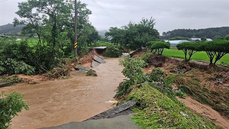 Yunnan Landslide: টানা বৃষ্টিপাতে ইউনানে ভূমিধস, নিহত ৫ জন
