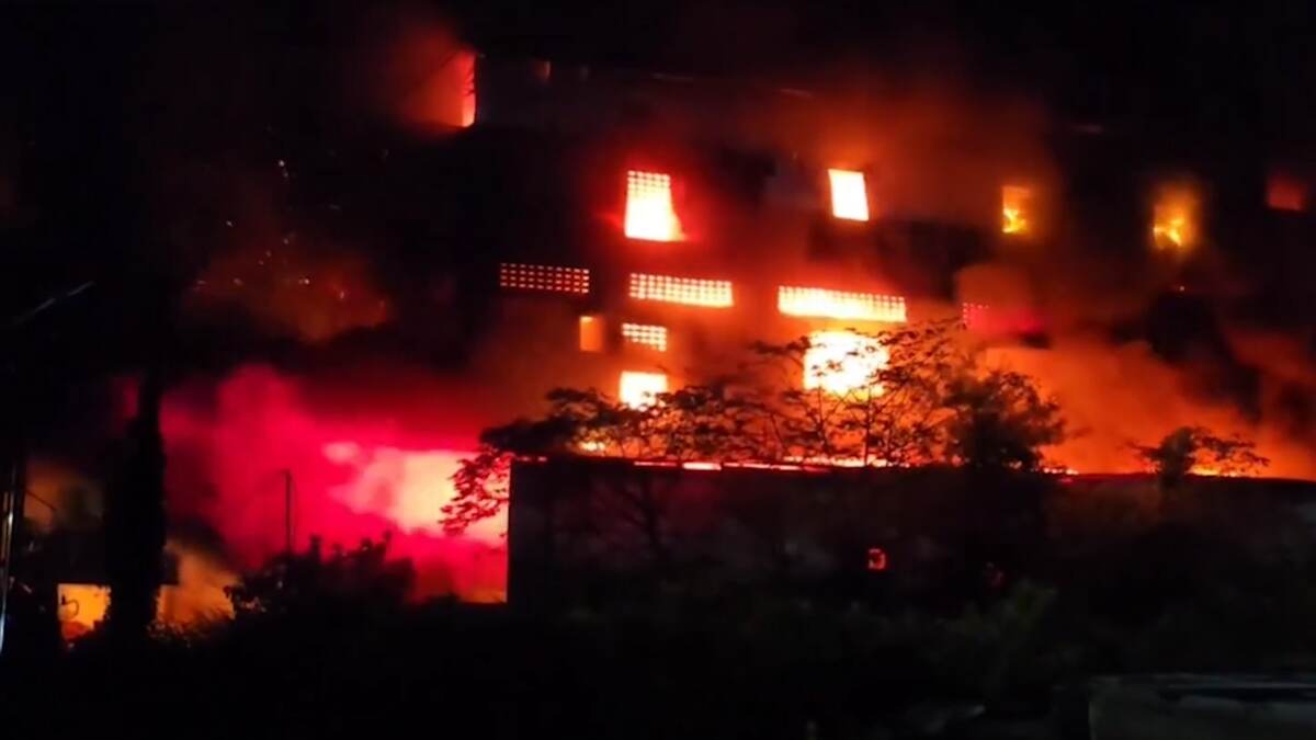 Fire Broke Out: গুজরাটের প্লাস্টিক কারখানায় ভয়াবহ আগুন, দেখুন ভিডিও