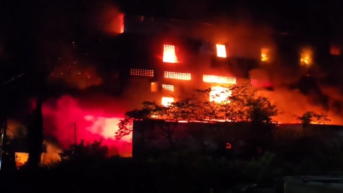 Fire Broke Out: গুজরাটের প্লাস্টিক কারখানায় ভয়াবহ আগুন, দেখুন ভিডিও