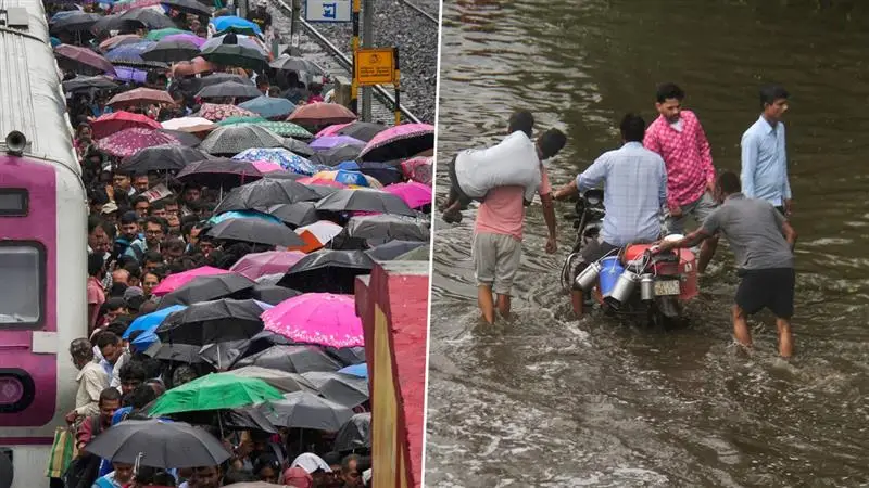 West Bengal Weather Update: নিম্নচাপ ও মৌসুমী বায়ুর জোড়াফলায় কলকাতা সহ দক্ষিণবঙ্গের বেশ কিছু জেলায় রাতভর বৃষ্টি, শহরের একাধিক এলাকা জলমগ্ন