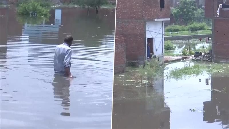 Uttar Pradesh: অবিরাম বৃষ্টিতে জলমগ্ন মোরাদাবাদ, শহরের ৯০% অংশে জমেনি জল দাবি মোরাদাবাদের অতিরিক্ত পৌর কমিশনারের ( দেখুন ভিডিও )