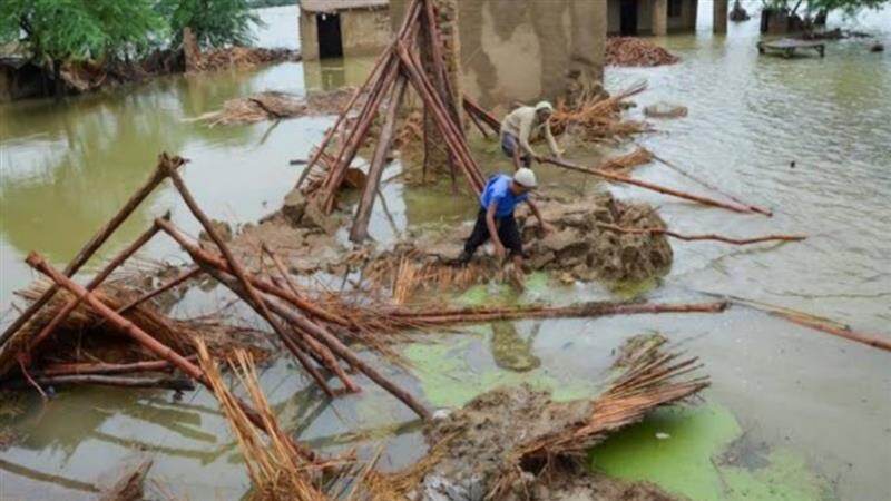 Pakistan: পাকিস্তানে বর্ষার তাণ্ডবে মৃতের সংখ্যা বেড়ে ২১৬ জন