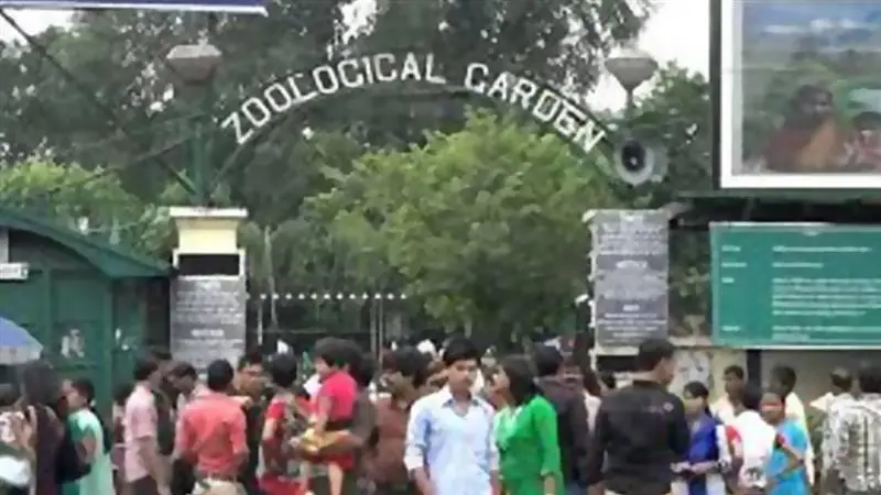 Green Anaconda In Alipore Zoo: অপেক্ষার অবসান! কলকাতায় বসে অ্যামাজনের জঙ্গলের অভিজ্ঞতা দিতে চিড়িয়াখানায় আসছে সবুজ অ্যানাকোন্ডা