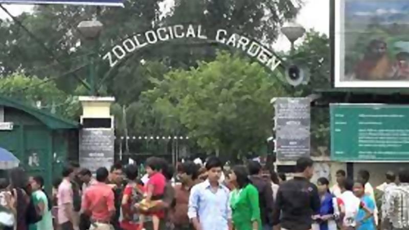 Green Anaconda In Alipore Zoo: অপেক্ষার অবসান! কলকাতায় বসে অ্যামাজনের জঙ্গলের অভিজ্ঞতা দিতে চিড়িয়াখানায় আসছে সবুজ অ্যানাকোন্ডা