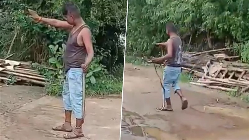 Snake Stunt Goes Wrong: কোবরা নিয়ে কায়দাবাজি, বিষাক্ত সাপের ছোবলে যুবকের বেঘোরে মৃত্যু, দেখুন ভিডিও