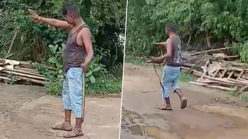 Snake Stunt Goes Wrong: কোবরা নিয়ে কায়দাবাজি, বিষাক্ত সাপের ছোবলে যুবকের বেঘোরে মৃত্যু, দেখুন ভিডিও