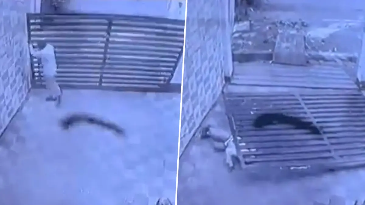 Viral Video: সাংঘাতিক কাণ্ড! লোহার মস্ত গেট ভেঙে পড়ল নিরাপত্তারক্ষীর ঘাড়ে, ছটফট করে মৃত্যু, দেখুন CCTV ফুটেজ