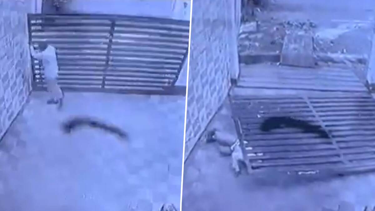Viral Video: সাংঘাতিক কাণ্ড! লোহার মস্ত গেট ভেঙে পড়ল নিরাপত্তারক্ষীর ঘাড়ে, ছটফট করে মৃত্যু, দেখুন CCTV ফুটেজ