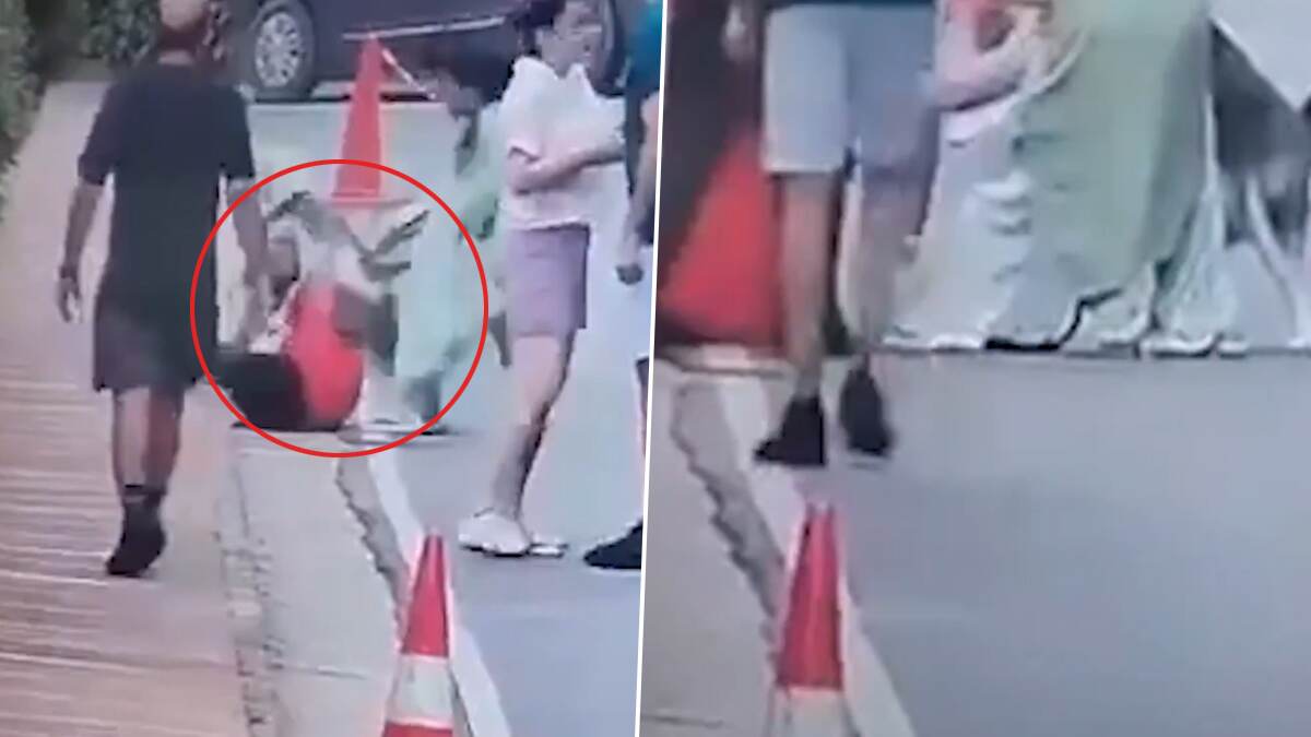 Woman Mauled by Pet Dog: মর্নিং ওয়াকের সময় পোষা কুকুরের আক্রমণে আহত মহিলা