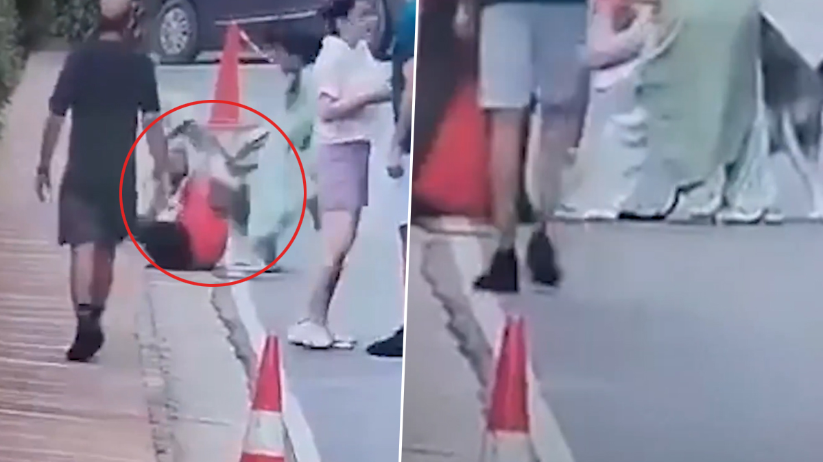 Woman Mauled by Pet Dog: মর্নিং ওয়াকের সময় পোষা কুকুরের আক্রমণে আহত মহিলা