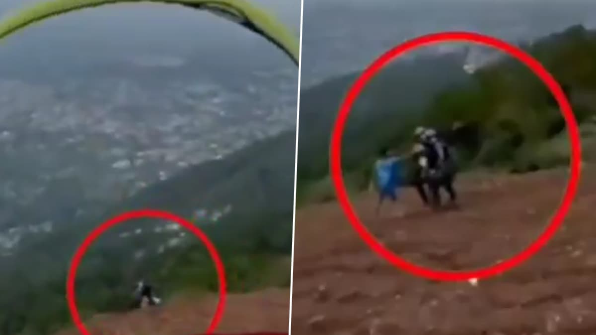 Paragliding Crash in Himachal Pradesh: হিমাচলে কেলেঙ্কারি! পাহাড়ের খাদে ধসে পড়ল প্যারাগ্লাইডার, মৃত্যু গুজরাটের পর্যটকের