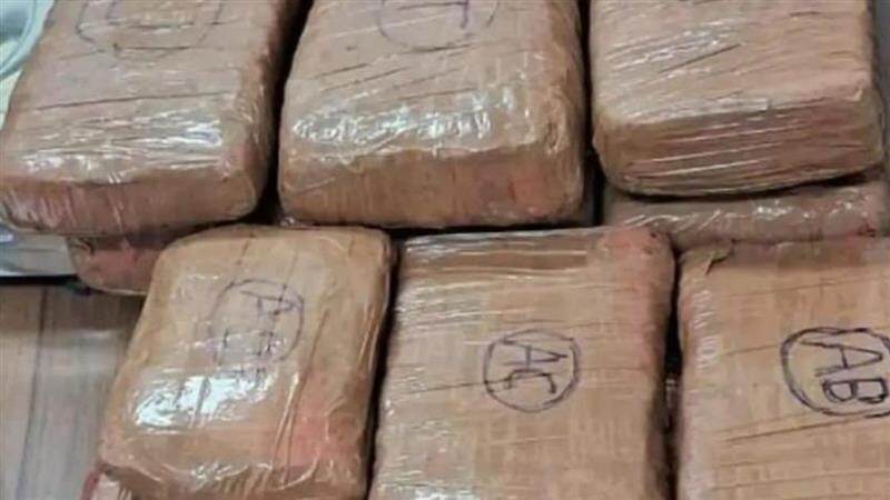 Ganja Seized: খোদ রাজধানীর বুক লখনৌয়ে ৪৩ কেজি গাঁজা উদ্ধার, যোগী প্রশাসনকে কটাক্ষ অখিলেশ যাদবের