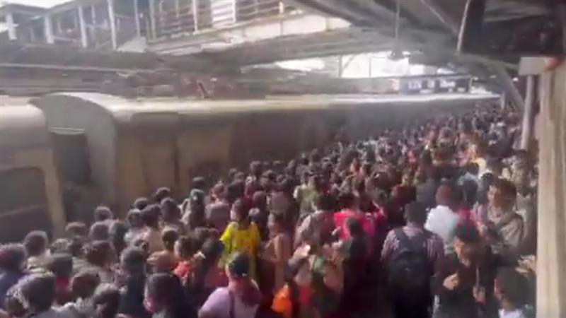Mumbai Local Train: লোকালে 'মৃত্য়ুর সফর'! প্রতিদিন গড়ে তিনজন মুম্বইয়ের রেললাইনে মারা যাচ্ছেন