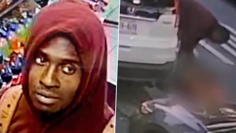 New York: মানুষরূপী দানব...! নিউ ইয়র্কের রাস্তার ধারে পোষ্য পিটবুলের গায়ে আগুন ধরিয়ে দিলেন এক ব্যক্তি, ভিডিও ঘিরে চাঞ্চল্য