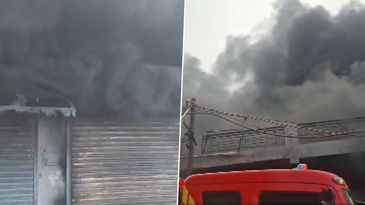 Delhi Fire: সোনিয়া বিহারের রাসায়নিক কারখানায় লাগল আগুন, দমকল বাহিনীর চেষ্টায় পরিস্থিতি নিয়ন্ত্রণে, দেখুন ভিডিয়ো