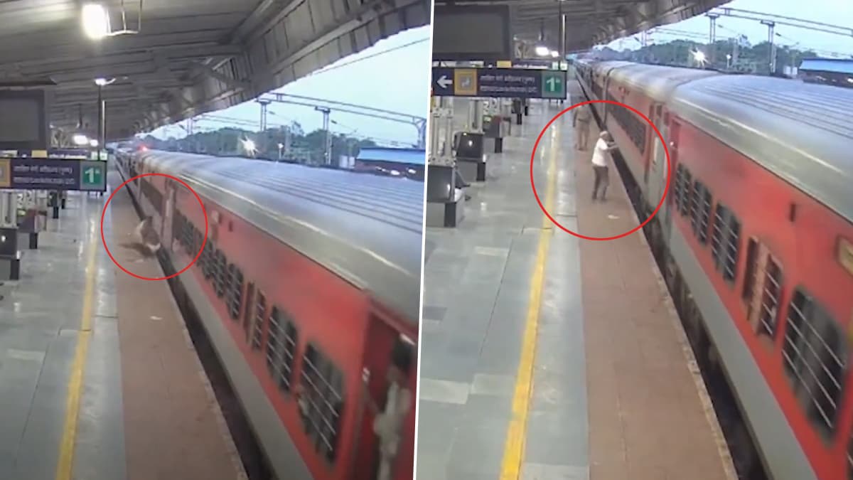 MP Viral Video: ফোনে মগ্ন বৃদ্ধ, চলন্ত ট্রেনে উঠতে গিয়ে গেলেন পড়ে, তারপর...? ভাইরাল ভিডিয়ো