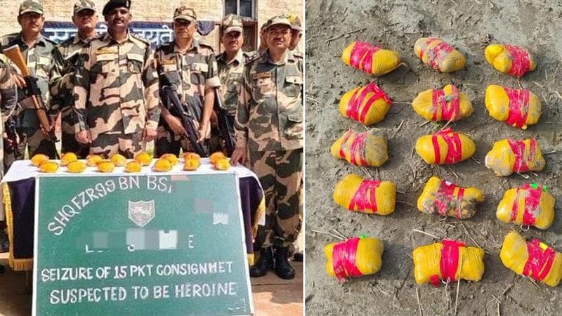 Drugs Seized By BSF: সীমান্তে বড় সাফল্য বিএসএফের, চাষের জমি থেকে উদ্ধার ৮ কেজি মাদক
