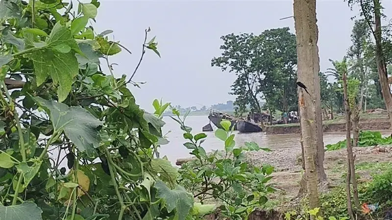 Ganga Grabs House, Land In Malda:  গঙ্গা গিলছে বাড়ি, গোটা গ্রাম চিবিয়ে খাচ্ছে 'রাক্ষুসে' নদী, সাধের ঘর ছেড়ে চোখের জল ফেলছে মানুষ, দেখুন ভিডিয়ো