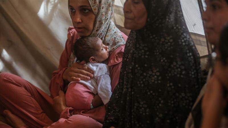Gaza 'Mass Starvation': পৃথিবীর মানচিত্রে ফুটে উঠছে গাজ়ার গণ দুর্ভিক্ষ, বাচ্চা থেকে বুড়ো, খেতে পাচ্ছেন না হাজার হাজার মানুষ, অসহায় বাবা-মা খাবার তুলে দিতে পারছেন না সন্তানের মুখেও
