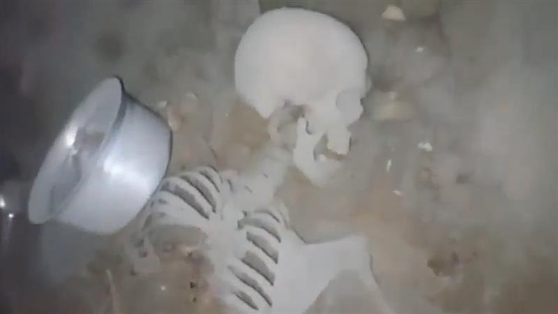 Human Skeleton Inside House: বাড়ির ভিতরেই কয়েক বছর ধরে পড়ে মানুষের কঙ্কাল, খুঁজে পেতেই হাঁড়হিম দশা স্থানীয়দের, দেখুন ভয়াবহ ভিডিয়ো