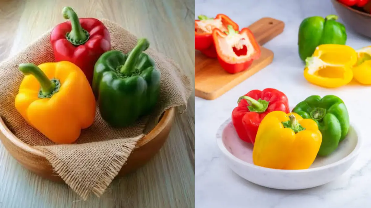 Health Benefits of Capsicum: বাড়বে রোগ প্রতিরোধ ক্ষমতা, কমবে ওজন। জানুন ক্যাপসিকামের আশ্চর্যজনক উপকারিতা