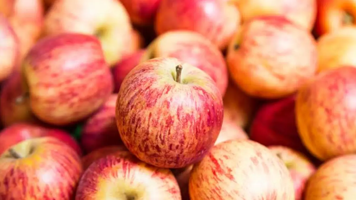 Good for Your Heart, Eat an Apple Daily: হার্ট থাকলে ভালো। প্রতিদিন খান একটি করে আপেল। পাবেন আরো উপকারিতা। জানুন বিস্তারিত