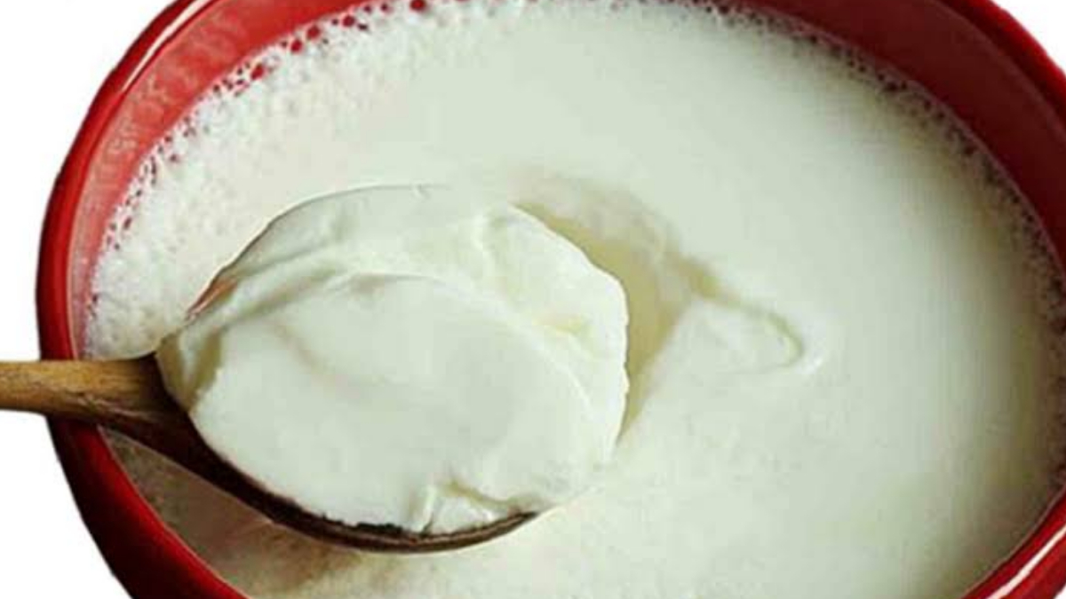 Health Benefits of Sour Curd: ত্বক হবে উজ্জ্বল। বাড়বে হজম ক্ষমতা। প্রতিদিন পাতে রাখুন টক দই। দেখুন টক দই এর উপকারিতা