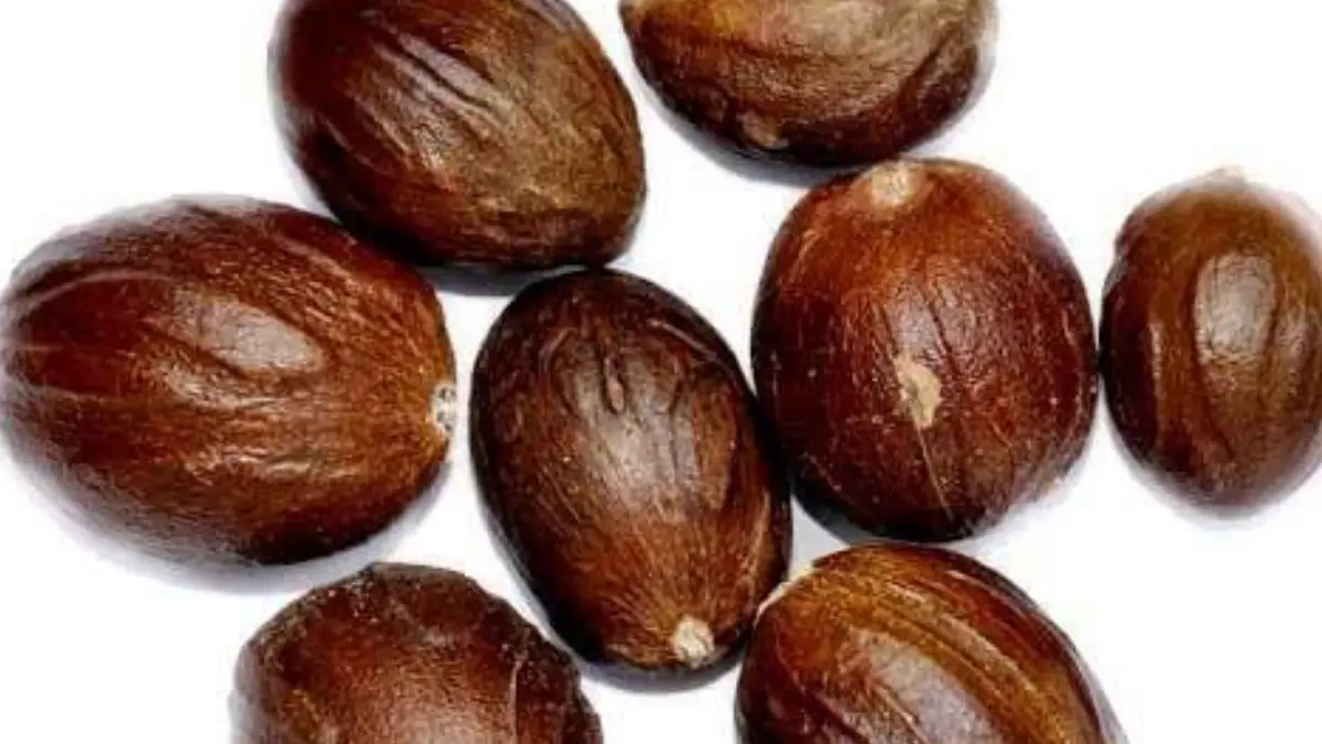 Health Benefits of Nutmeg: রান্না ঘরের ছোট্ট মসলা, অথচ বহু গুণে ভরপুর। জেনে নিন জায়ফলের উপকারিতা