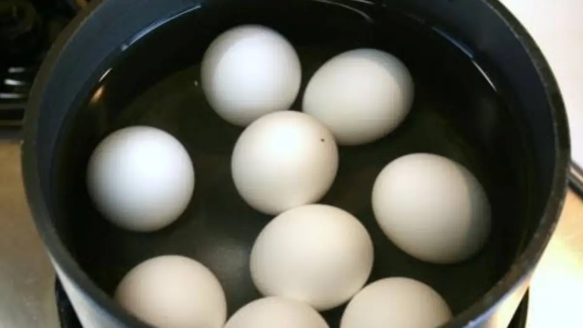 Benefits of Boiled Egg Water:  ডিম সেদ্ধ করার জল ফেলে দিচ্ছেন? এর উপকারিতা জানলে আর ফেলবেন না। দেখুন বিস্তারিত