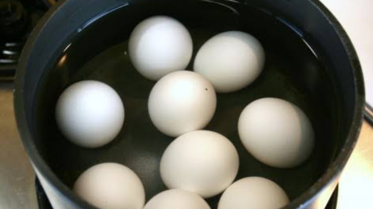 Benefits of Boiled Egg Water:  ডিম সেদ্ধ করার জল ফেলে দিচ্ছেন? এর উপকারিতা জানলে আর ফেলবেন না। দেখুন বিস্তারিত