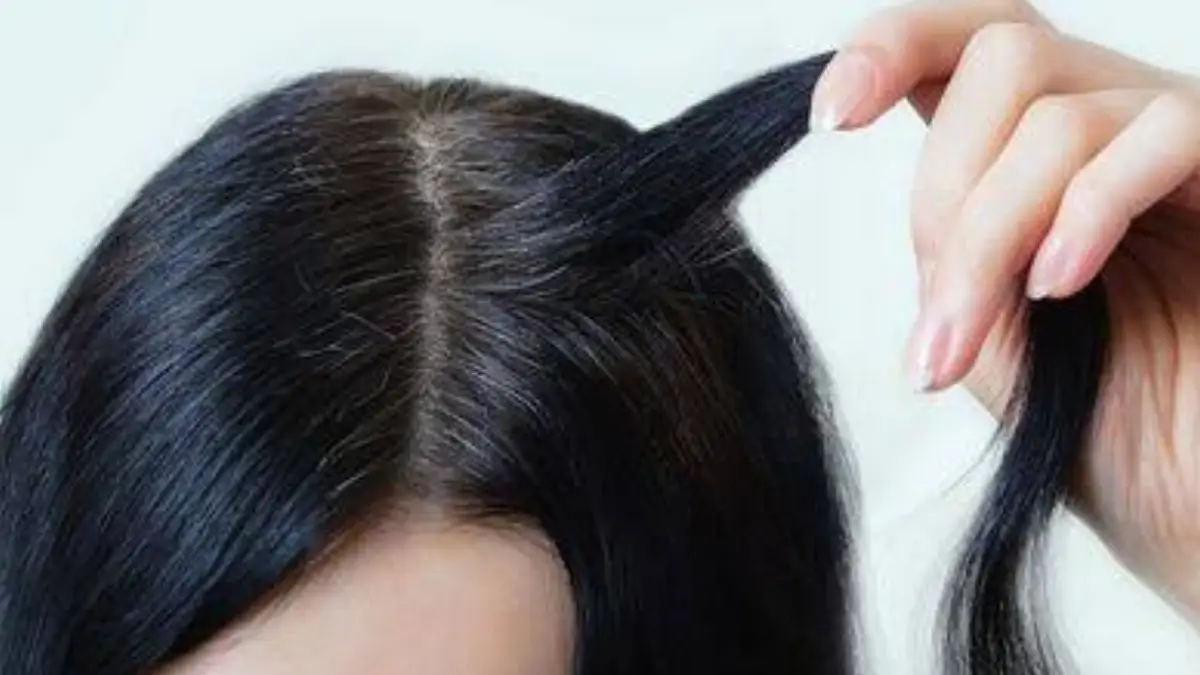 Tips to Keep Your Hair Naturally Black: বয়স বাড়লেও চুল থাকবে কালো। চুলে ব্যবহার করুন এই বিশেষ তেল