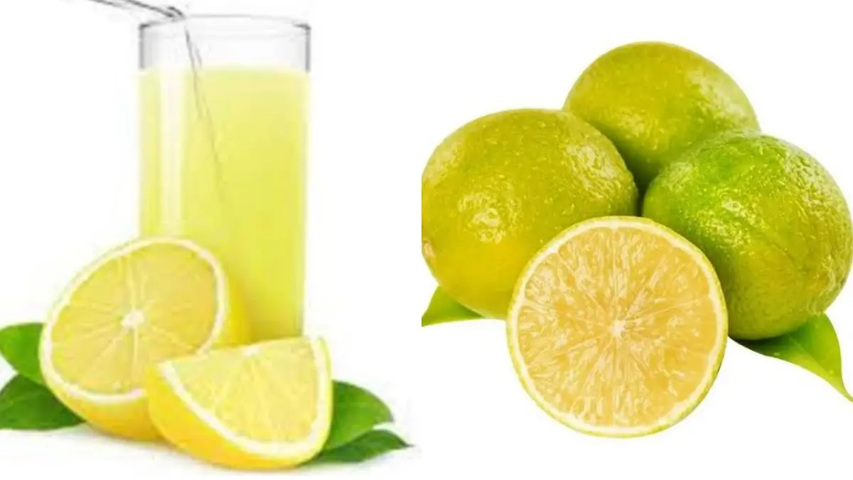 Health Benefits of Mosambi: এই আবহাওয়ায় সর্দি-কাশি জ্বর থেকে রক্ষা করবে এই মিষ্টি ফল। দেখুন বিস্তারিত