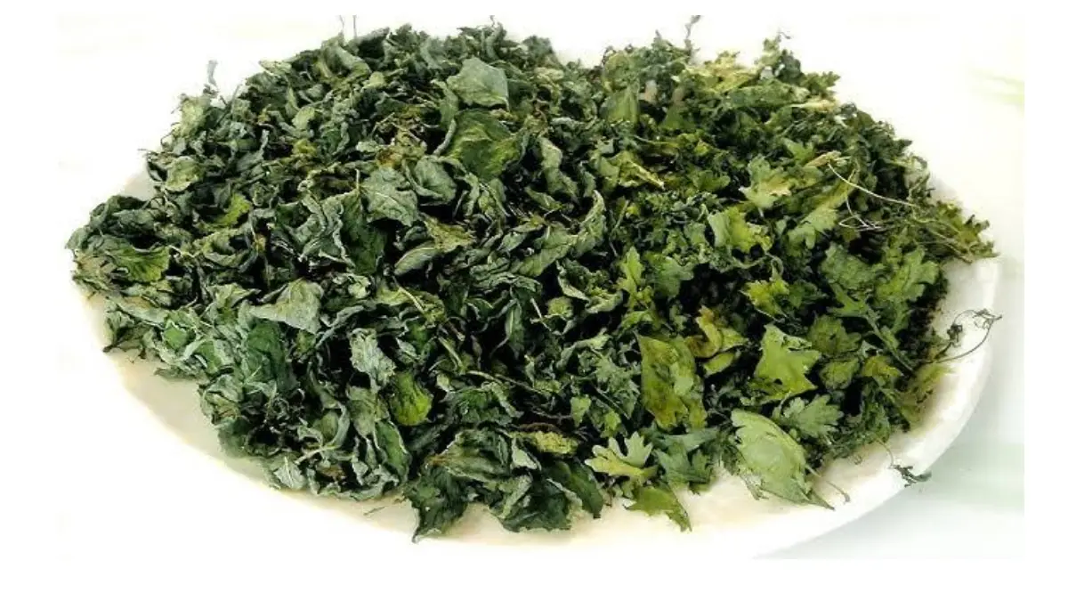 Kasuri Methi benefits:  কাসুরি মেথি শুধু রান্নার স্বাদ বাড়ায় না, এর উপকারিতা অনেক। দেখুন বিস্তারিত