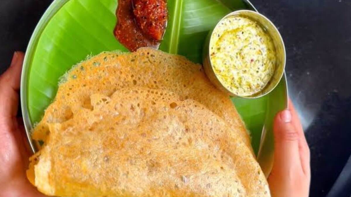 Healthy Breakfast Masoor Dal Dosa: মুসুর ডাল দিয়ে তৈরি করুন সুস্বাদু ধোসা । দেখুন সহজ রেসিপি