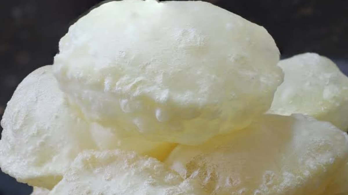 How to Make Perfectly Puffy Luchi:  ফুলকো লুচি। তেলে ছাড়লেই লুচি ফুলে উঠবে আর হবে নরম। বানান এই পদ্ধতিতে
