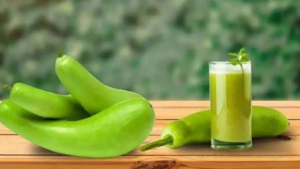 Drink Bottle Gourd Juice to Lose Weight:  ওজন কমানোর মোক্ষম দাওয়াই। লাউয়ের জুস খান নিয়মিত। দেখুন উপকারিতা