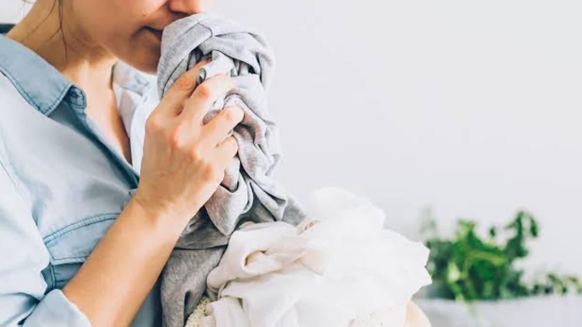 Get Rid of Musty Odor from Beds and Clothes : বর্ষায় বিছানা ও জামাকাপড়ে ভ্যাপসা গন্ধ? ঘরোয়া উপায়ে দূর করুন