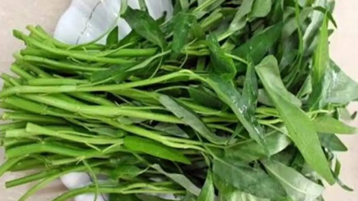 Health Benefits of Water Spinach: যৌবন উপচে পড়বে। খেয়েই দেখুন কলমি শাক