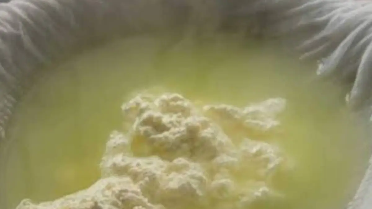 Whey Water Ghee:  ছানার জল ফেলবেন না! তা দিয়ে বানিয়ে ফেলুন সুগন্ধি ঘি । দেখে নিন সহজ পদ্ধতি