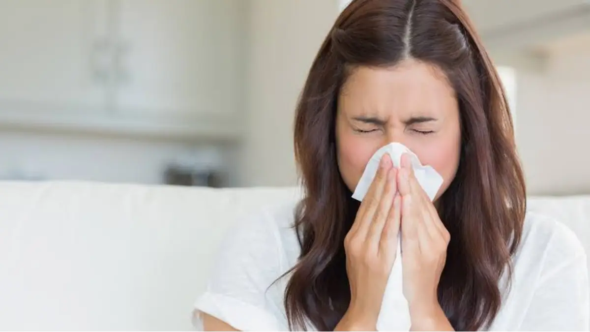 Benefits of Ginger in Relieving Cough: কাশি হবে দূর, এক টুকরো আদাতে । জেনে নিন কিভাবে ব্যবহার করবেন