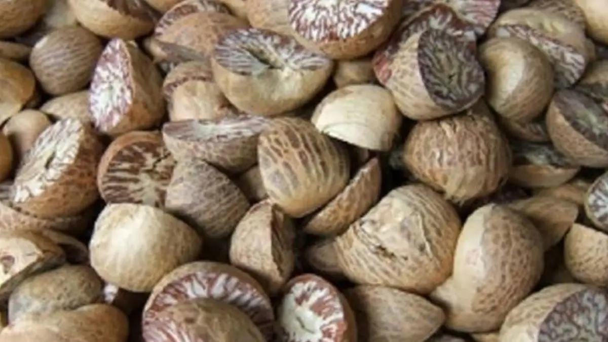 Health Benefits of Betel Nut: গ্যাস অম্বলের সমস্যা দূর হবে। বাড়বে হজম ক্ষমতা। সুপারির উপকারিতা জানলে অবাক হবেন