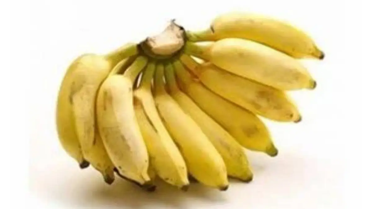 Health Benefits of Kathali Banana: কাঁঠালি কলা কেন খাবেন? জেনে নিন উপকারিতা