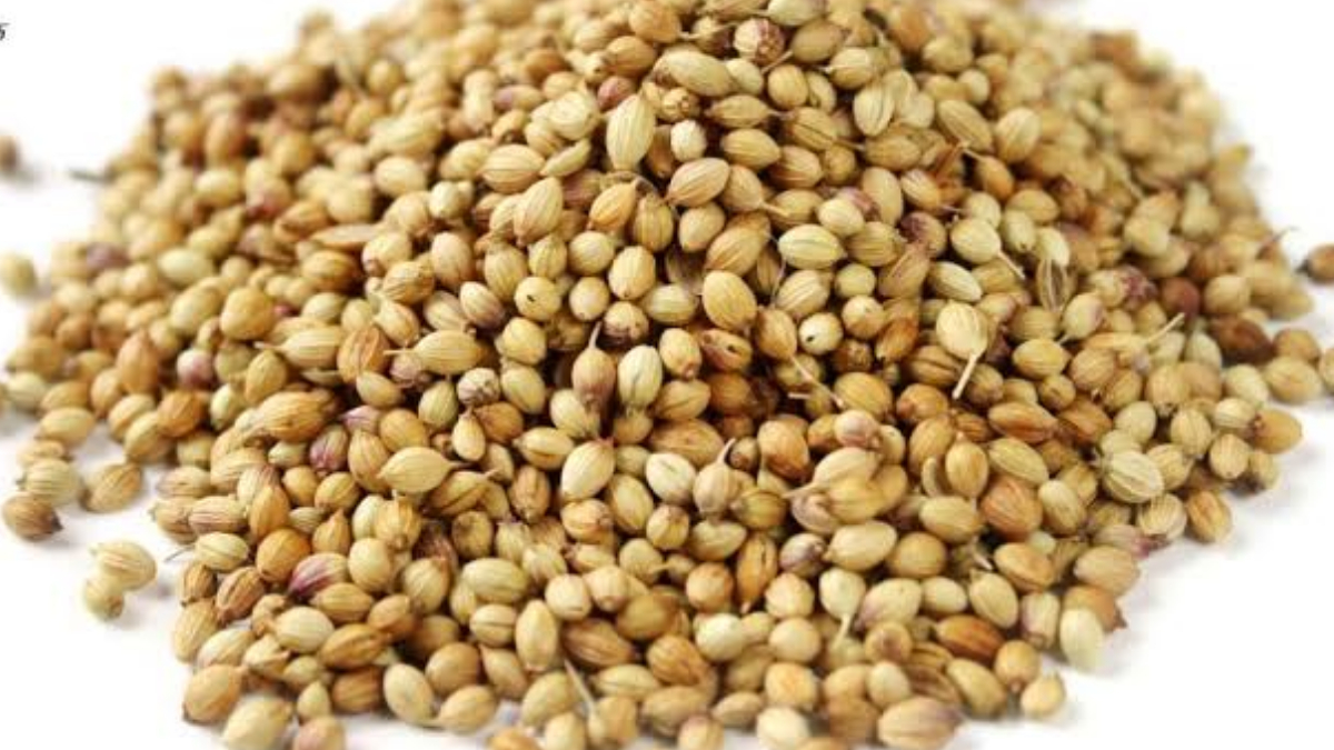 Health Benefits of Coriander: রান্নাঘরের এই গুরুত্বপূর্ণ মশলাতে ডায়াবেটিস নিয়ন্ত্রণ হবে। রয়েছে আরো উপকারিতা