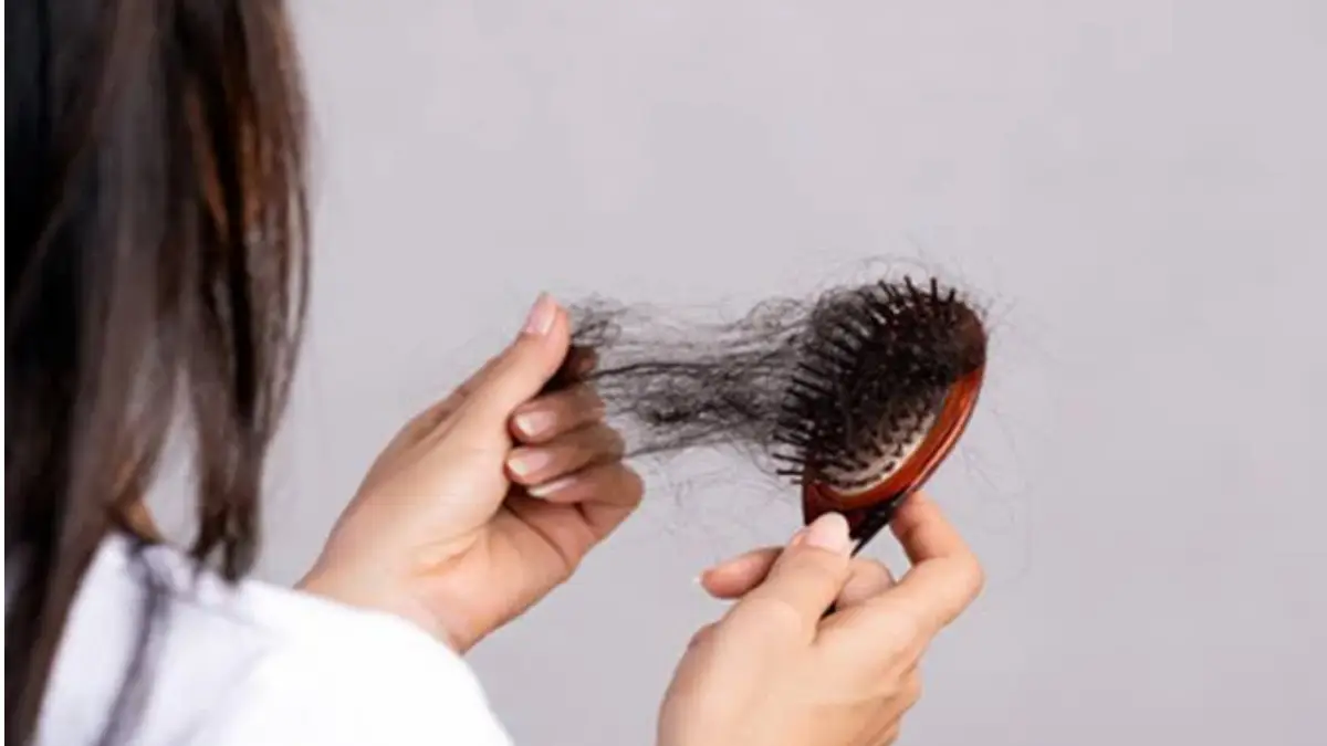 Solution to Hair Fall Problem:  গোছা গোছা চুল উঠে যাচ্ছে? কিভাবে এই সমস্যা থেকে রক্ষা পাবেন দেখুন