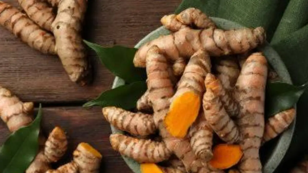 Health Benefits of Eating Raw Turmeric: এক টুকরো কাঁচা হলুদ আপনার শরীরে অনেক সমস্যার সমাধান করবে। দেখুন বিস্তারিত