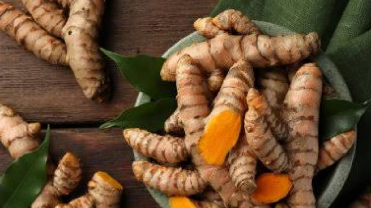 Health Benefits of Eating Raw Turmeric: এক টুকরো কাঁচা হলুদ আপনার শরীরে অনেক সমস্যার সমাধান করবে। দেখুন বিস্তারিত