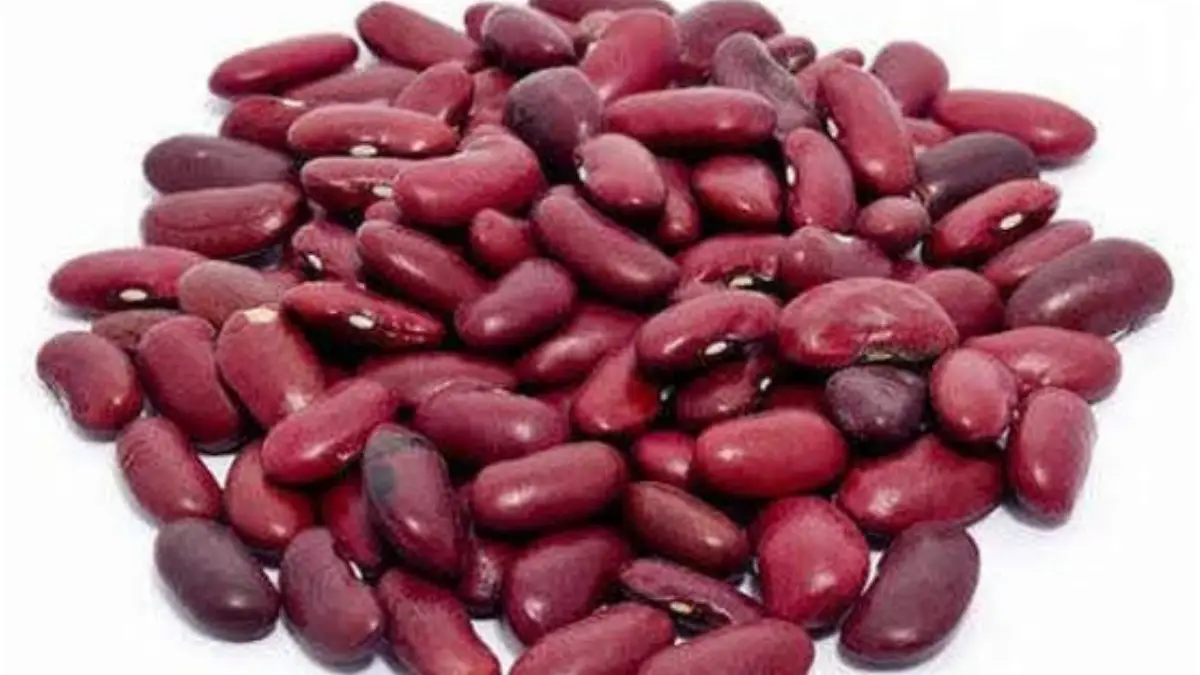 Health Benefits of Rajma (Kidney Beans):  বাংলার এই বিশেষ ডালে রয়েছে প্রচুর পরিমাণে প্রোটিন, ফাইবার, ভিটামিন। বিস্তারিত জানলে আজ থেকেই খেতে শুরু করে দেবেন