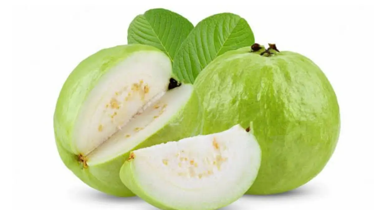Which Type of Guava is Beneficial for Diabetic Patients? ডায়াবেটিকদের জন্য পেয়ারা কি উপকারি? কোন পেয়ারা খাবেন কাঁচা না পাকা?  জেনে নিন বিস্তারিত